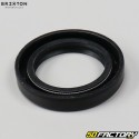 Brixton BX 125 Rear Wheel Spi