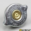 Radiator cap Yamaha, MBK, Beta,  Hanway,  Rieju,  Suzuki, Husqvarna... gray