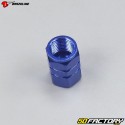 Valve caps Brazoline blue nut
