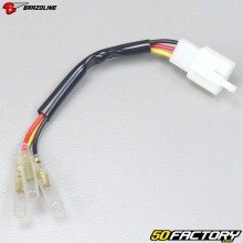 Rear light wiring Brazoline 3 son V5