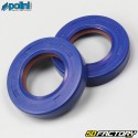 Crankshaft seals Derbi Polini