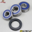 Honda Rear Wheel Bearing and Seal Shadow 125 All Balls