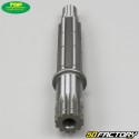 Secondary gearbox shaft Top Performances AM6 Minarelli (V2)