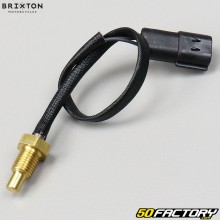 Brixton BX temperature sensor and Archive Coffee Racer,  Scrambler 125