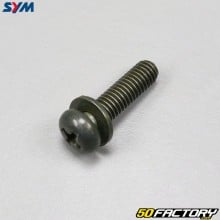 5x18mm Front Handlebar Screws Sym Orbit 3 (to the unit)