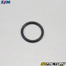 O-ring do came do freio traseiro Sym Orbit 3 50 4T