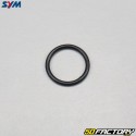 O-ring do came do freio traseiro Sym Orbit 3 50 4T