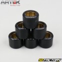 Rolos de inversor 5g 19x15,5mm Piaggio Zip,  Gilera Stalker... Artek