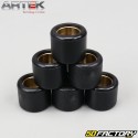 Inverter rollers 5.5g 19x15,5mm Piaggio Zip,  Gilera Stalker... Artek