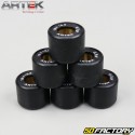 Inverter rollers 6.5g 19x15,5mm Piaggio Zip,  Gilera Stalker... Artek