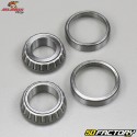 Steering Column Bearings Honda Shadow,  Varadero 125 All Balls