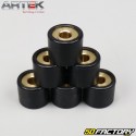 Variomatikrolle
 9g 16x13mm Kisbee,  Agility,  Zip,  Cracker... Artek