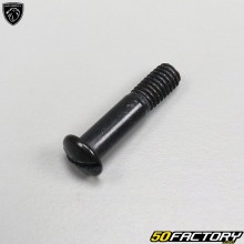 Brake lever bolts Peugeot Vivacity,  Trekker,  Squab...