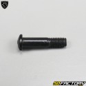 Brake lever bolts Peugeot Vivacity,  Trekker,  Squab...