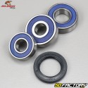 Honda Rear Wheel Bearings and Seals Varadero 125 All Balls