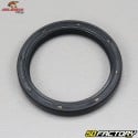 Cuscinetti e guarnizioni delle ruote anteriori Honda Shadow 125 All Balls