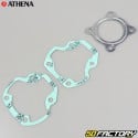 Engine seals Yamaha DTMX  50  Athena