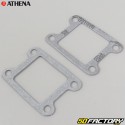 Engine seals Yamaha DTMX  50  Athena