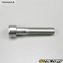 Perno de rueda trasera MBK Nitro,  Yamaha Aerox