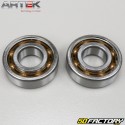 Crankshaft bearings and seals AM6 minarelli Artek C4 for crankshaft diameter 20mm