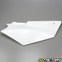 Rear fairings Hanway Furious,  Masai Ultimate whites