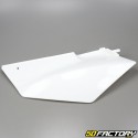 Rear fairings Hanway Furious,  Masai Ultimate whites