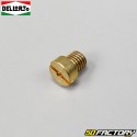 Sprinklers (adjustment kit) Ø5mm SHA, PHBG 75 to 98 Dellorto