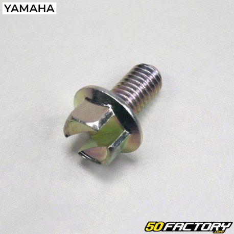 MBK camshaft screw Nitro,  Ovetto,  Yamaha Aerox and Neo&#39;s 50 4T