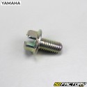 MBK camshaft screw Nitro,  Ovetto,  Yamaha Aerox and Neo&#39;s 50 4T