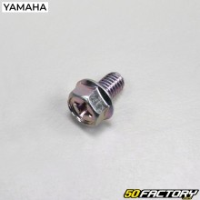 Tornillo de purga de culata MBK Nitro, Ovetto, Yamaha Aerox  y XNUMX XNUMXT de Neo