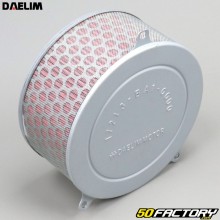 Air filter Daelim Daystar 125 4T (2000 to 2006)