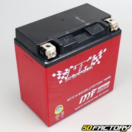 Battery YTX14-BS gel Gilera GP 800, Aprilia SRV, Italjet ...