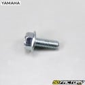 Tornillo guardabarros delantero MBK Ovetto,  Yamaha Neo (hasta 2007)