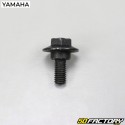 Trunk top case screw MBK Ovetto,  Yamaha Neo&#39;s (up to 2007)