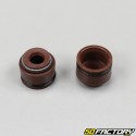 Copos e vedações de válvulas Suzuki GN 125 (kit)