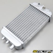 Reinforced radiator (with cap) Derbi Senda, DRD, Gilera SMT,  RCR... adaptable