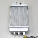 Reinforced radiator (with cap) Derbi Senda, DRD, Gilera SMT,  RCR... adaptable