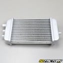 Reinforced radiator (with cap) Derbi Senda, DRD, Gilera SMT,  RCR... adaptable