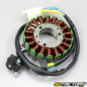 Ignition Stator  Suzuki GN 125