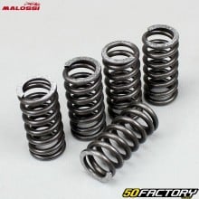 Clutch springs Derbi Malossi