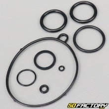 Carburetor seals TNT Motor City,  Skyteam Dax 50 4T