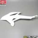 Carenatura anteriore Beta RR 50, motociclista, Track (dal 2011) bianco