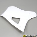 Carenados delanteros Yamaha DTR 125 blanco