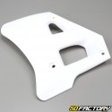 Carenados delanteros Yamaha DTR 125 blanco