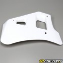 Carenados delanteros Yamaha DTR 125 blanco