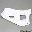 Carenados delanteros Yamaha DTR 125 blanco