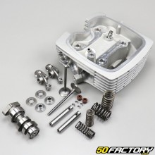 Testata Honda CB-F 125 (da 2009 a 2013) 150