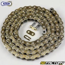 Chain 428 reinforced 100 links Afam gold