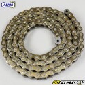 428 chain reinforced 100 links Afam  or