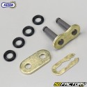 428 reinforced chain (O-rings) 118 links Afam  or